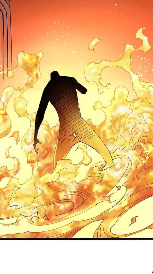 寒门女状元之高考破茧,寒门女状元高考破茧之路  第3张