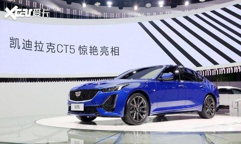 迪拉 2020,回顾与展望 第3张 迪拉 2020,回顾与展望 第3张