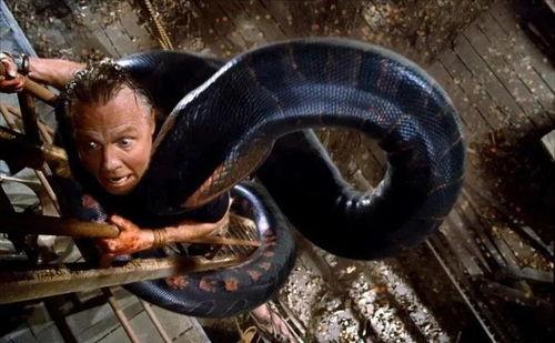 蛇灾:蛇岛惊魂,揭秘神秘蛇灾背后的惊悚真相 第2张 蛇灾:蛇岛惊魂,揭秘神秘蛇灾背后的惊悚真相 第2张