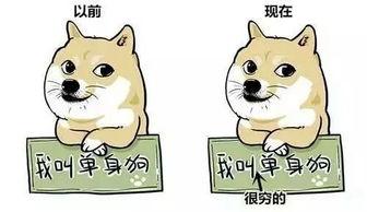 萌宝小祖宗快闭上乌鸦嘴吧,乌鸦嘴背后的温馨故事  第2张