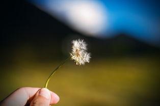 念念情深1980,岁月如歌，爱意绵长  第3张