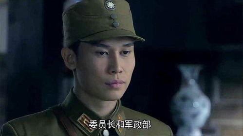 雪豹坚强岁月,岁月磨砺下的坚韧传奇  第2张