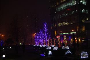 灯火阑珊处,灯火阑珊处的岁月静好  第2张