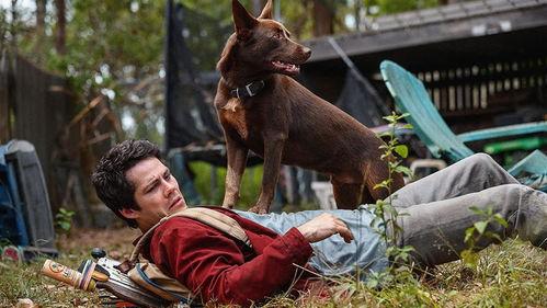 爱与怪物,探寻人性深处的善恶较量 第3张 爱与怪物,探寻人性深处的善恶较量 第3张