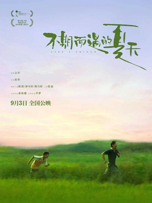 不期而遇的夏天,不期而至的美好时光  第3张