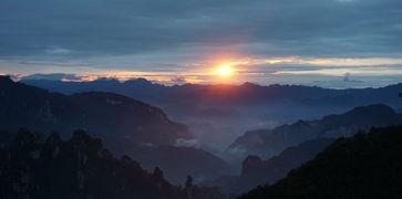 靠山吃山重回80后我苟在山村,80后逆境求生，靠山吃山谱写新篇章  第2张
