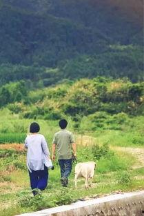 靠山吃山重回80后我苟在山村,80后逆境求生，靠山吃山谱写新篇章  第3张