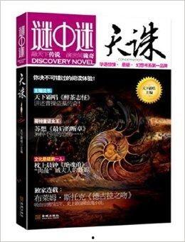 谜中谜,层层叠叠的智慧迷宫  第2张