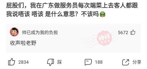 新婚之夜报告,甜蜜瞬间与温馨回忆的完美交织  第3张