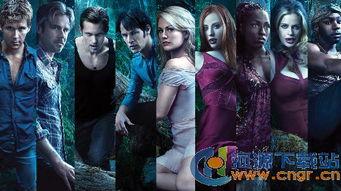 真爱如血 第七季,真爱如血，命运轮回  第3张