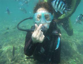 海岛食人鲨,神秘海域的致命威胁
