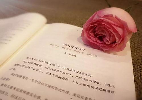 养育者 第一季,揭秘亲子关系的成长密码  第2张