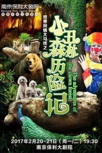 森林小丑,揭秘森林中的神秘喜剧大师