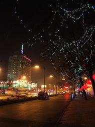 春风沉醉的夜晚,浪漫邂逅与心灵共鸣  第3张